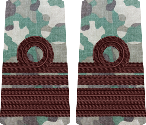 GRADE COMBAT CAPITAN COMANDOR MARINA MILITARA  (Forțele Navale Române)